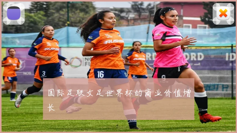 国际足联女足世界杯的商业价值增长