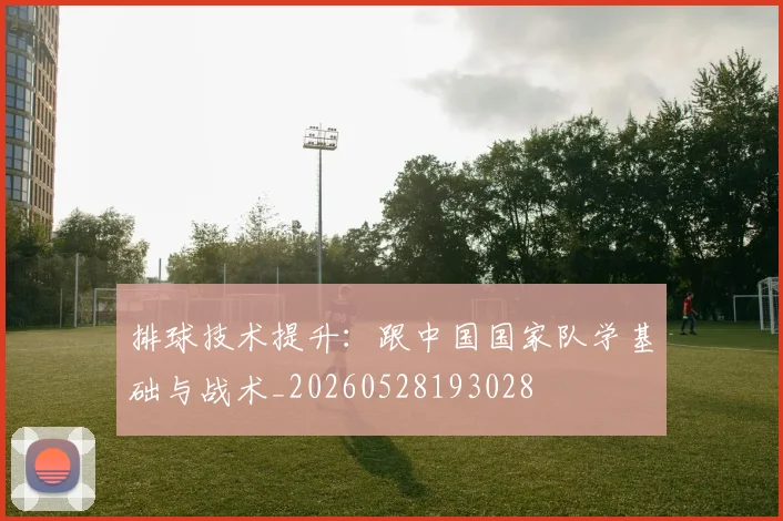 排球技术提升：跟中国国家队学基础与战术_20260528193028